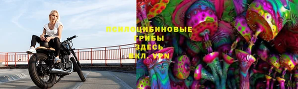 сатива Бугульма