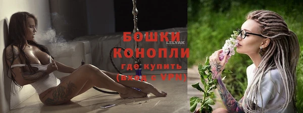 прущие грибы Вяземский