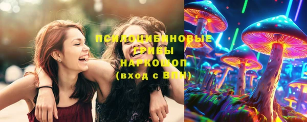 ПСИЛОЦИБИНОВЫЕ ГРИБЫ Волосово
