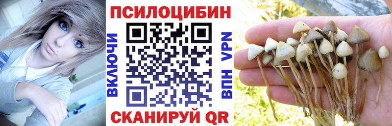 Псилоцибиновые грибы Psilocybine cubensis Инза