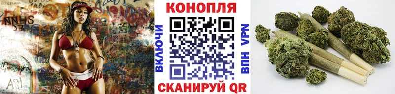 где продают   Инза  Канабис семена 